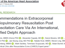 Dennis & Supady et al. Recommendations in Extracorporeal Cardiopulmonary Resuscitation Post Resuscitation Care. J Am Heart Assoc. 2026 Feb 17;15(4):e047548