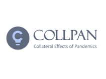 Collateral Effects of Pandemics