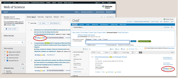 LinkResolver in Datenbanken