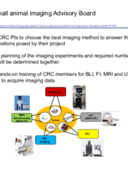 animal-imaging-advisory-board