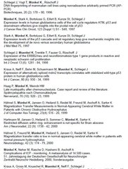 Publikationsliste Münkel bis 2008