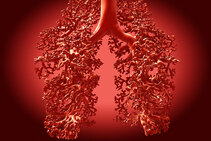Lung cancer screening is intended for people between the ages of 50 and 75 who currently smoke or who quit smoking less than ten years ago. ©Juan Gärtner/Fotolia