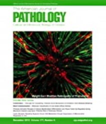 American Journal of Pathology