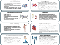 Combes, Supady et al. Extracorporeal life support for adult patients with ARDS. ICM 2025