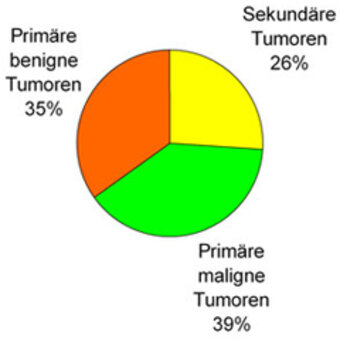 Brustwandtumoren - Sammelstatistik