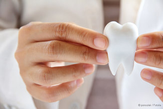Zahnarzt hält Kunststoff-Zahn in der Hand
