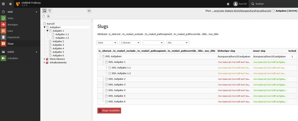 URL - Segment