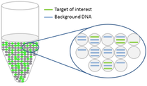 ddPCR droplets with green fluorescence in a tube