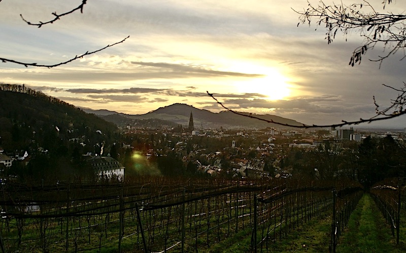 Freiburg - © Werner Deck